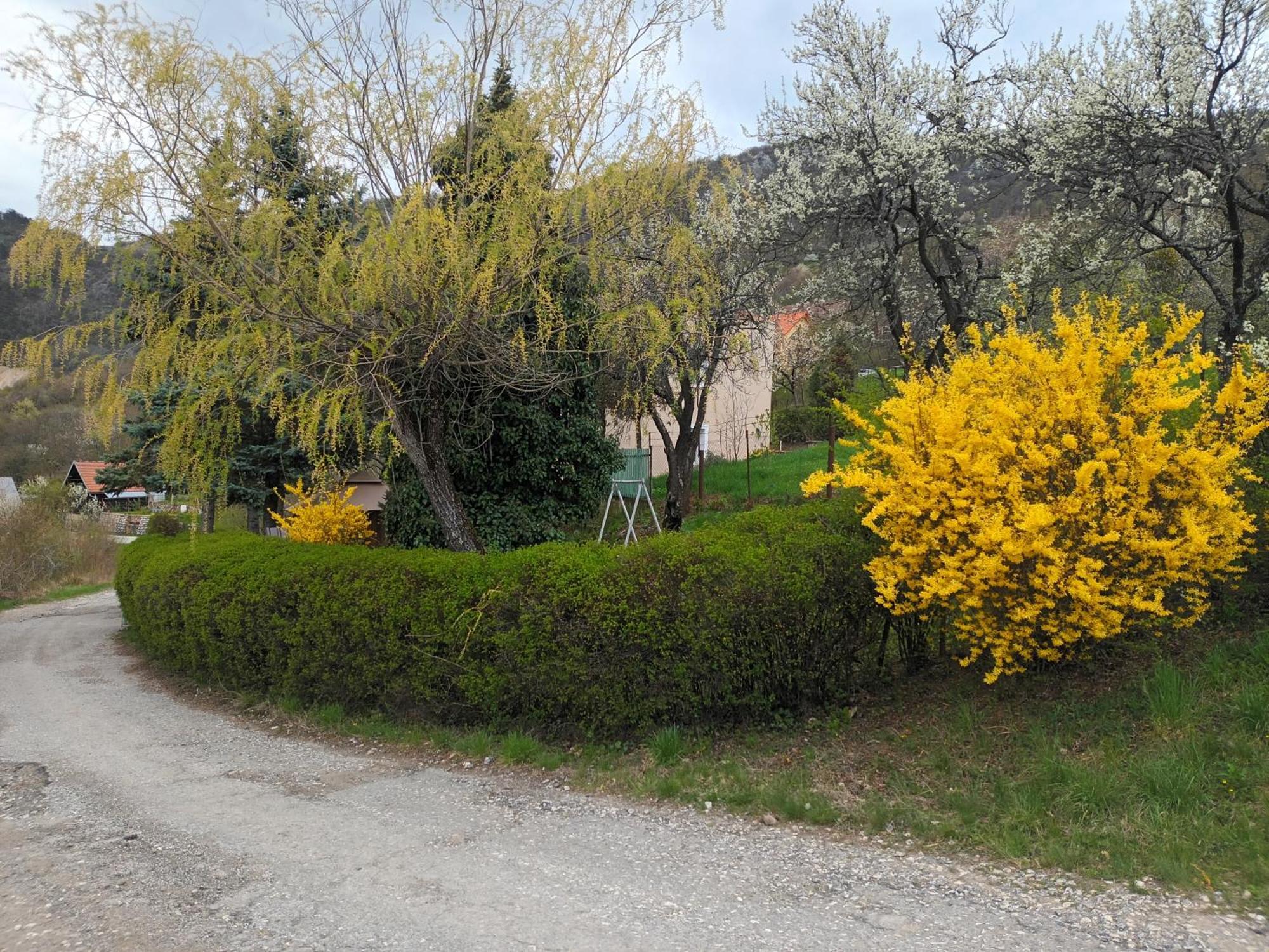 Villa Evetes Jablonov nad Turnou 外观 照片