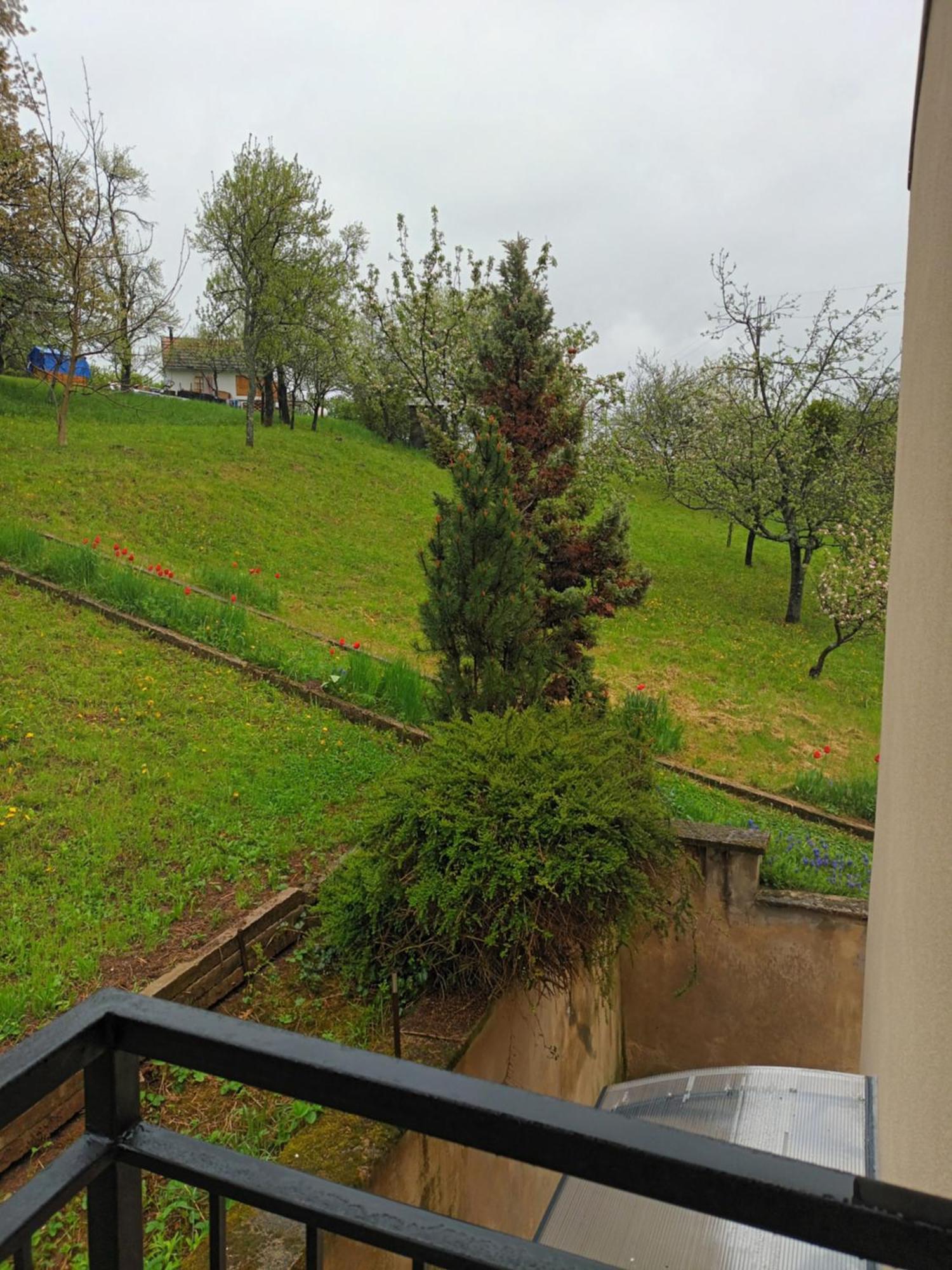 Villa Evetes Jablonov nad Turnou 外观 照片